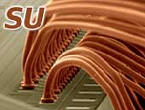 Copper Wire Bonding Capillary - SU Series